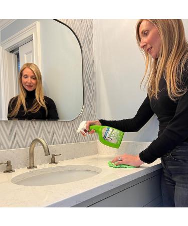 STONETECH Quartz & Tile Cleaner 24OZ | Best International Spray for Stains & Shine - Buy Online on GoSupps.com