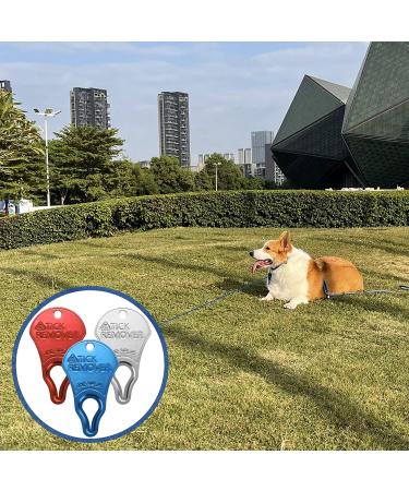 JOTOVO Tick Remover Tool - Portable, Safe & Reliable Tick Removal Tool for Pets and Humans - Pain-Free - 3 Pack - Buy Online on GoSupps.com