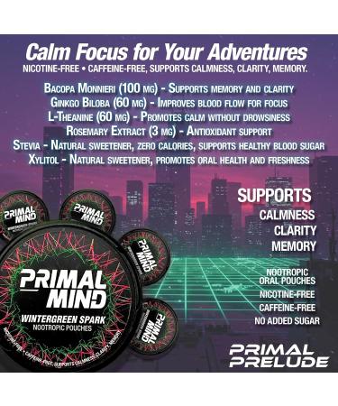 Caffeine Free Nootropics Pouches Made with Ginkgo Biloba & L-Theanine | Nicotine Free Brain Boost No Sugar Cognitive Support | 20 Pouches Per Can (Wintergreen) Wintergreen 5 - Buy Online on GoSupps.com