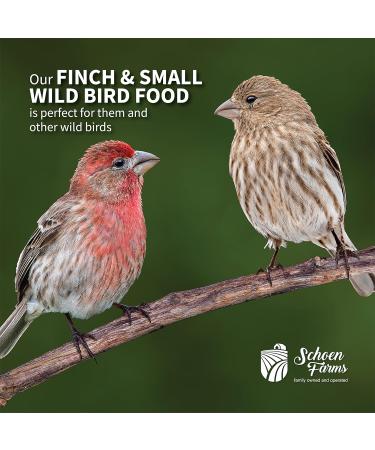Schoen Farms Finch and Small Wild Bird Seed Food Mix (5 LBS) - Buy Online on GoSupps.com