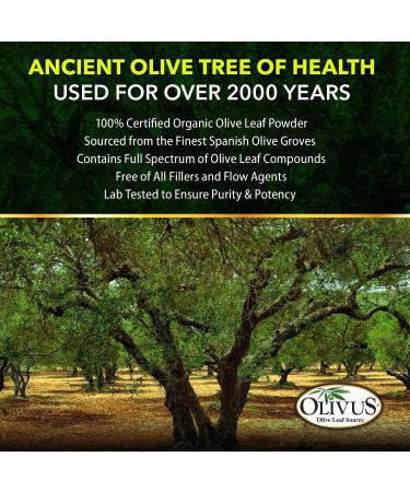 OliveLeafMAX Olive Leaf Extract (40% Oleuroepin) + Organic Powder | 300 Vegetarian Capsules | Sourced from Spain | GMP Facility | 300 Count - Buy Online on GoSupps.com