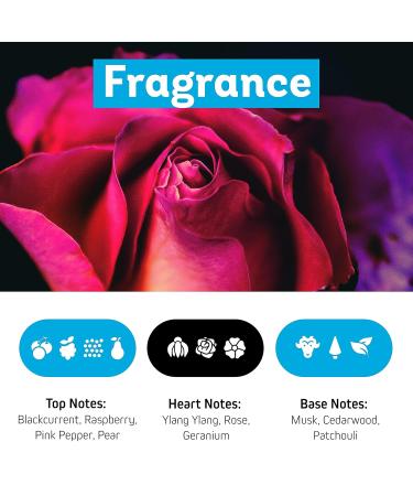 Buy ZUMBA Shower Gel 8.5 Fl Oz - Gentle Cleansing & Moisturizing Body Wash for All Skin Types - Enriched with Aloe Vera & Bamboo Extract - Ideal for Dry Skin - Buy Online on GoSupps.com