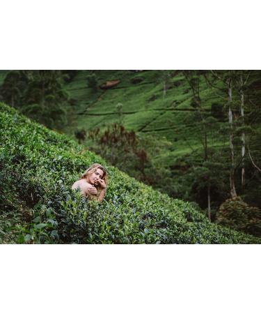 Dethlefsen Balk teemando herbal tea mix winter pastry almond pastry nut flavored 1kg - Buy Online on GoSupps.com