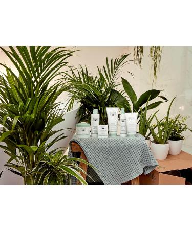 Christophe Robin Hydrating Leave-In Mist with Aloe Vera 5 fl. oz. - Ultimate Hair Hydration - Buy Online on GoSupps.com