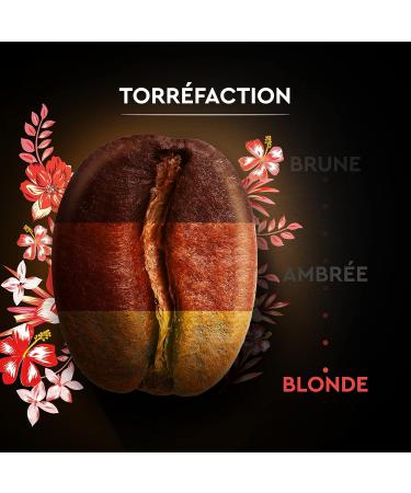  Carte Noire Carte Noire Honduras Selection Pure Organic Arabica Coffee Beans 500g Pack - Buy Online on GoSupps.com