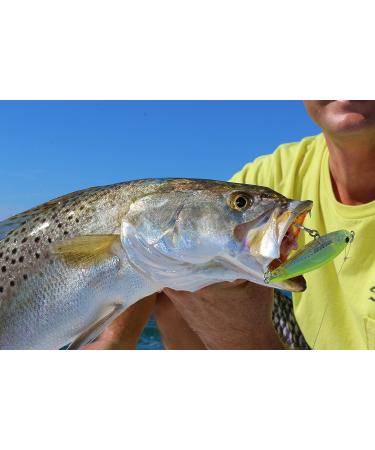 Yo-Zuri 3D Inshore Minnow 4 3/8 Inch Chartreuse Floating Lure - Buy Online on GoSupps.com