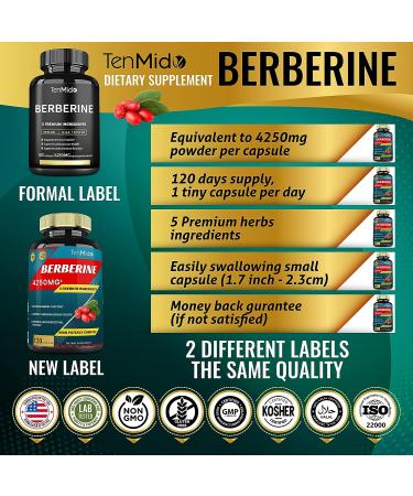 Berberine Extract 4250mg Capsules - 4 Months Supply with Ceylon Milk Thistle, Turmeric & Black Pepper | Immune Support & Weight Management Supplements - Buy Online on GoSupps.com