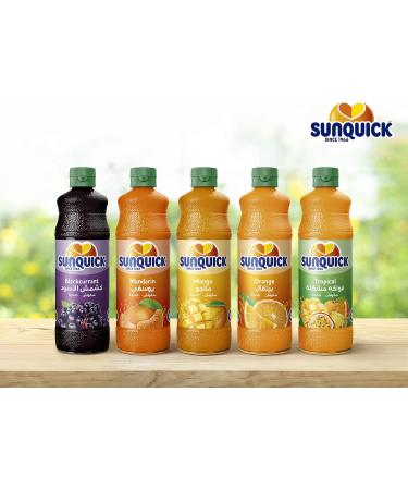  Sunquick Sunquick Real Mango Fruit Concentrate Pack of 6 - Buy Online on GoSupps.com