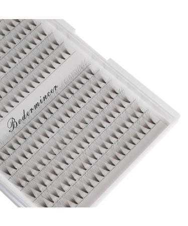 12 Rows Dedila Large Tray - 10D Premade Volume Eyelash Extensions | 0.07mm D Curl | Natural Long Individual False Lashes (10-18mm - Buy Online on GoSupps.com