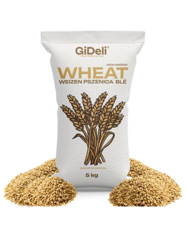 GiDeli GiDeli Dried wheat - 5 kg - whole grains - clean cleaning - direct from the farmer - high purity no additives