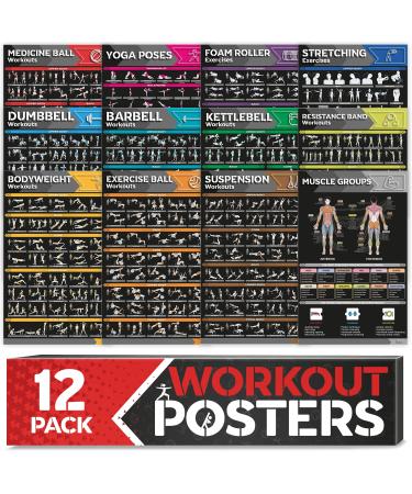 12-PACK Laminated Large Workout Poster Set - Perfect Workout Posters for Home Gym - Exercise Charts Incl. Dumbbell Yoga Poses Resistance Band Kettlebell Stretching & More Fitness Gym Posters