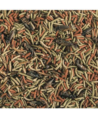 Reptiles Carnivorous Soft 1000 ml / 260 g - Food for Carnivorous and Omnivorous Reptiles - Buy Online on GoSupps.com