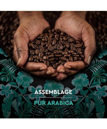 CARTE NOIRE - Coffee Bean "S lection Peru" - Organic 100% Arabica - Pack of 500g - Made in France - Buy Online on GoSupps.com