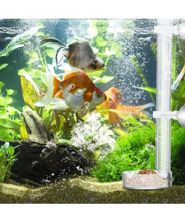 cobee Acrylic Shrimp Feeder Transparent Durable Aquarium Fish Shrimp Feeder Assembled Shrimp Feeding Tube Feeding Dish Tray Feeding Tube Set for Shrimp Food - 25cm Tube and 6.5cm Feeding Bowl - Buy Online on GoSupps.com