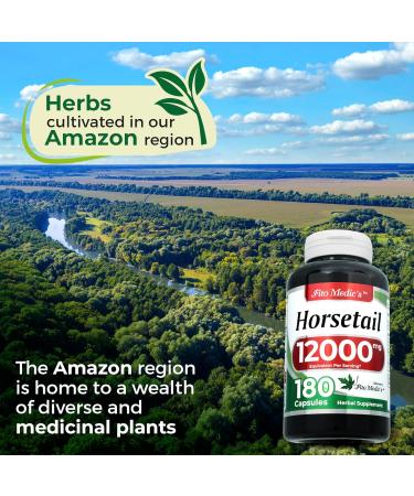 FITO MEDIC'S Horsetail Extract | Horsetail Whole Herb Capsules | 180 Capsules | Concentrated Extract | Highly Absorbable Herbal Supplement - Buy Online on GoSupps.com