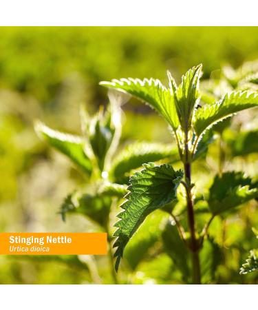 Herb Pharm Stinging Nettle Blend Liquid Extract - 4 oz | Natural Allergy Relief - Buy Online on GoSupps.com