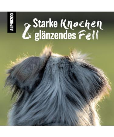 Alphazoo Beer Yeast Tablets for Dogs Cats & Rodents | Fur Care & Natural Anti-Tick | 50 Tablets - Healthy Skin & Shiny Fur - Buy Online on GoSupps.com