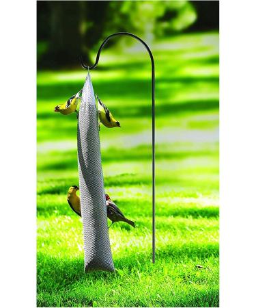 Kaytee Nyjer Wild Bird Food Seed Twin Pack - 26 Oz. - Buy Online on GoSupps.com