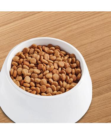 IAMS ADVANCED HEALTH Dog Food Dry IMMUNE HEALTH Adult Chicken & Superfoods Recipe 12.2kg Bag 12.25 kg (Pack of 1) - Buy Online on GoSupps.com