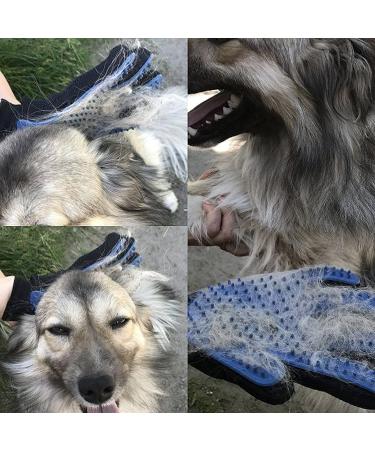 Pet Grooming Glove & Deshedding Brush for Cat & Dog - Gentle Hair Remover Mitt - 260 Silicone Tips - Right Hand Fit - Buy Online on GoSupps.com