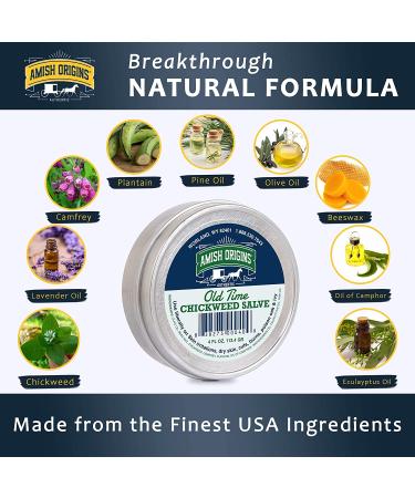 Amish Origins Old Time Chickweed Salve - 2 fl oz | Natural Skin Relief - Buy Online on GoSupps.com
