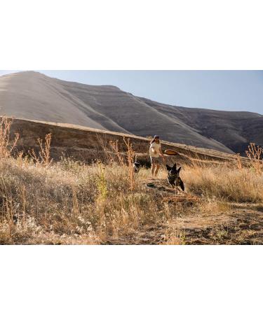 Ruffwear Hover Craft Toy - Wave Orange (Large) | Durable Fetch Toy - Buy Online on GoSupps.com
