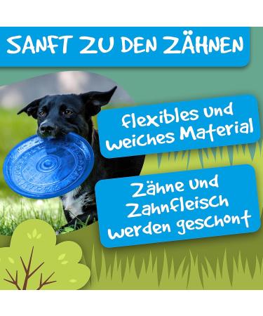 Buy Rootsnoot Frisbee for Dogs - Soft Super Stable Floats & Gentle on Teeth | Safe & Non-Toxic (Neon Blue) - Buy Online on GoSupps.com