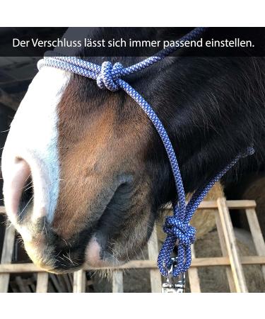 Premium Knothalter for Floor Work - COB Knot-Halter for Free Work & Training | Royal Blue-White - Buy Online on GoSupps.com