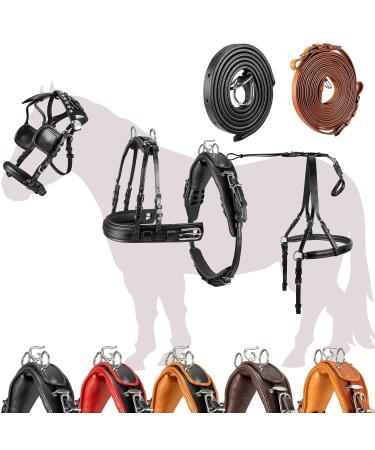 Esposita single -chip "Professional" carriage dishes for Shetty pony and horse dishes for Minishetty to XL cold blood Routing dishes for one -time shetty black