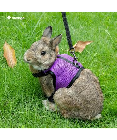 Niteangel Adjustable Soft Harness with Elastic Leash for Small Rabbits - Grey (Pack of 1) - Perfect Fit & Comfort - Buy Online on GoSupps.com