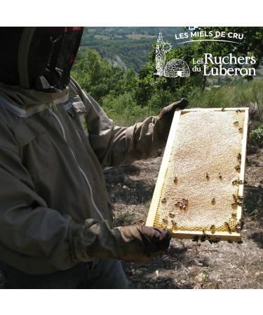 Les Ruchers du Luberon - Creamy French Honey 750 g - Raw French Honey - Natural - Unfiltered - Naturally Crystallized - Buy Online on GoSupps.com