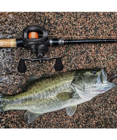 Piscifun Torrent II Baitcasting Reel - 24LB Max Drag, 8.1:1 Gear Ratio, Magnet Braking System, Right Hand Retrieve - Size 100 - Buy Online on GoSupps.com