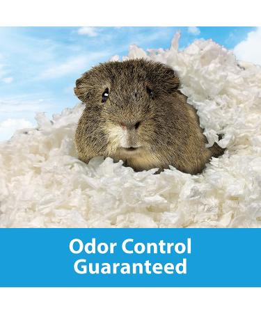 Kaytee Clean & Cozy White Small Animal Bedding | Premium Soft & Absorbent Bedding for Pets - Buy Online on GoSupps.com