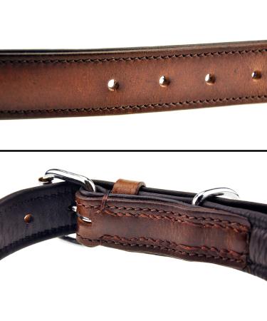 Sniffing Fans Leather Dog Collar - Padded & Robust for XXL Large Medium & Small Dogs (55-65cm Brown) - Buy Online on GoSupps.com