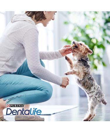 Purina Dentalife Dog Chews - Tartar Reducing Snacks for Small to Large Dogs | 6-Pack (7 Pieces) - Buy Online on GoSupps.com