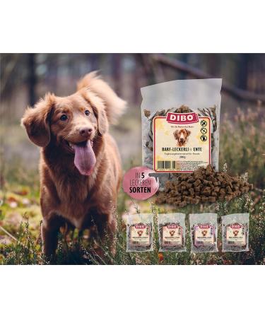 Buy Dibo Barf Treats for Dogs - 200g Wild Lamb & Duck Snacks - Sugar-Free & Healthy Training Treats - Buy Online on GoSupps.com