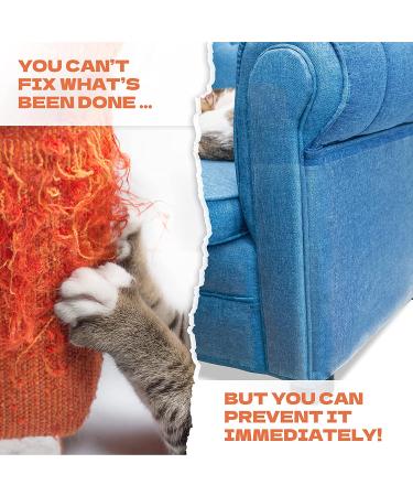 KatSupreme XL Scratch Couch Protector - Clear & Durable | 8XL Sheets - Buy Online on GoSupps.com