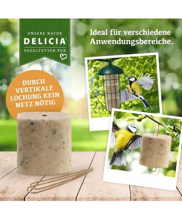 DELICIA Premium Insect Bird Balls - 6 Pack for Garden & Wild Birds | Meisen Dumplings with Hangers - High-Quality Bird Feed - Buy Online on GoSupps.com