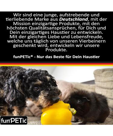 Buy Funpetic Dog Harnesses 2022 - Reflective Padded & Breathable - Anti-Train Design for Small Medium & Large Dogs (L) - Black - Buy Online on GoSupps.com