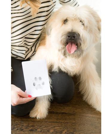 Pearhead Pet Ink Print Pad - Black | Easy Pet Paw Print Kit - Buy Online on GoSupps.com