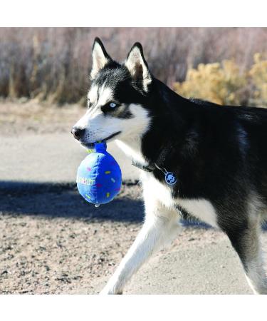 KONG Occasions Dog Toy Balloon - Large Blue | Durable Chew Toy for Dogs | International Shipping Available - Buy Online on GoSupps.com