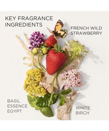Elizabeth Arden Green Tea Strawberry Basil Honey Drops Body Cream Hydrating Lightweight Moisturizer for Skin Care 16.9 fl oz - Buy Online on GoSupps.com