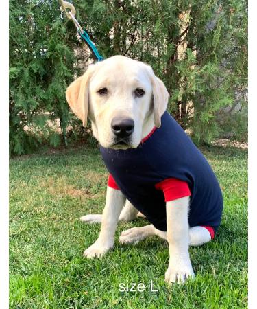 Dog Surgical Bodysuit | Wound Protection Suit for Dogs | Medical Pet Shirt | Recovery Suit (Large Blue) - Buy Now! - Buy Online on GoSupps.com