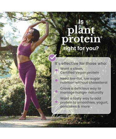 nbpure Vegan Pea Protein Powder, Vanilla Lean Muscle + Hunger & Bloating Support for Women, Men, Kids 25g Plant Protein Per Serving No Artificial Sweeteners or Flavors, Gusset, 25 Servings - Buy Online on GoSupps.com