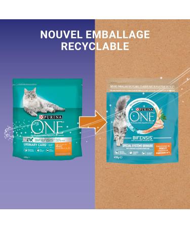 PURINA ONE Bifensis Urinary System Chicken and Wheat Dry Food for Adult Cats 450 g Meal Bag | Pack of 10 - Buy Online on GoSupps.com