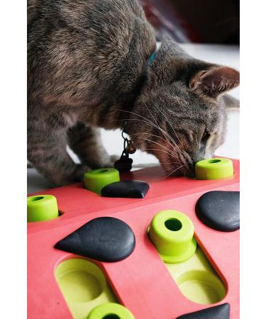 Petstages Nina Ottosson Melon Madness Interactive Cat Treat Puzzle - Buy Online on GoSupps.com