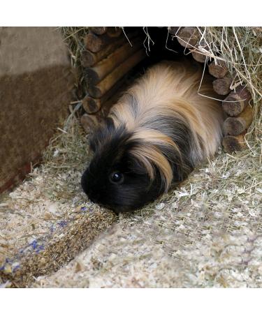 Rosewood Naturals Cornflower & Daisy Sticks 140g - Rabbit & Small Animal Treats - Buy Online on GoSupps.com