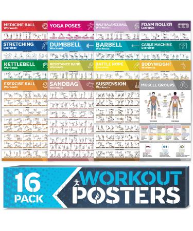 16-PACK Laminated Large Workout Poster Set - Perfect Workout Posters for Home Gym - Exercise Charts Incl. Dumbbell, Yoga Poses, Resistance Band, Kettlebell, Stretching & More Fitness Gym Posters