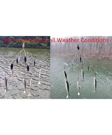 Fishing Vault Fully Rigged 5-Arm 8-Bladed Umbrella Rig with Swim Baits and Jig Heads - Buy Online on GoSupps.com