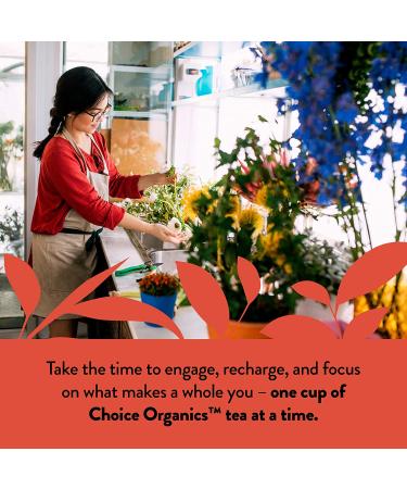 Choice Organics Organic Rooibos Tea - Fair Trade, Caffeine Free, 16 Herbal Tea Bags - Buy Online on GoSupps.com
